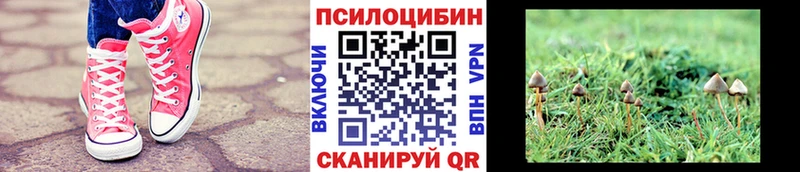 Псилоцибиновые грибы прущие грибы  Урай 
