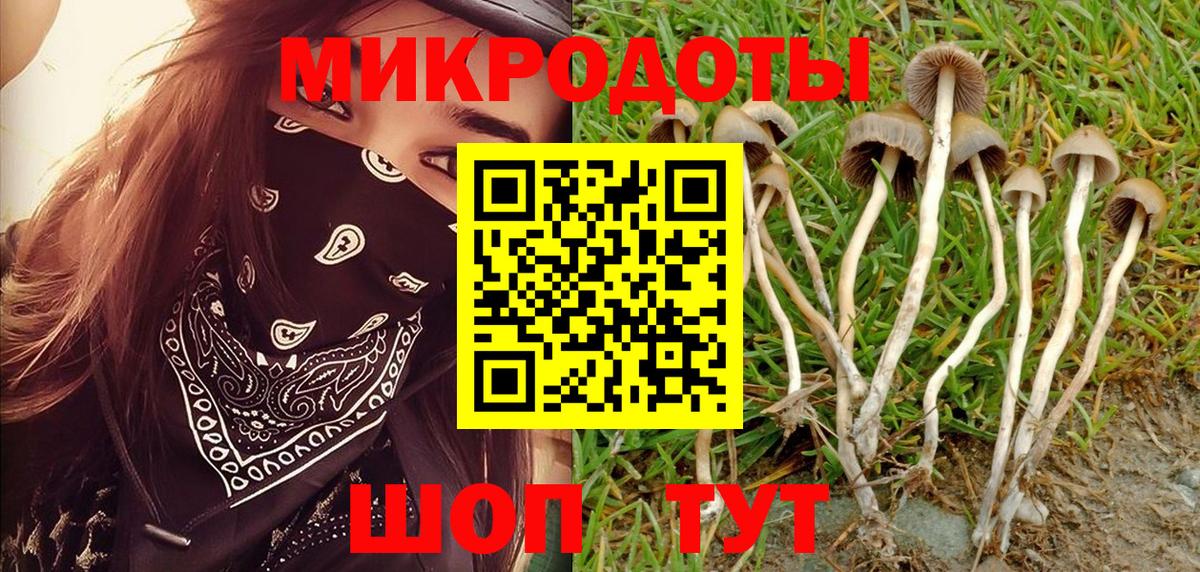 Псилоцибиновые грибы MAGIC MUSHROOMS  Вход с VPN  Урай  Псилоцибиновые грибы мухоморы 
